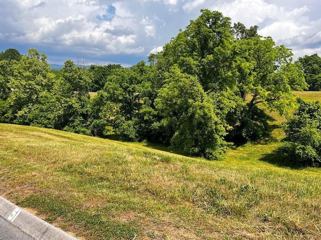 6377 Coves Edge Trl, Russellville, TN 37860 - photo 8