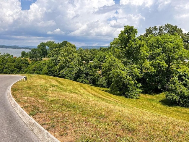 6377 Coves Edge Trl, Russellville, TN 37860 - photo 3