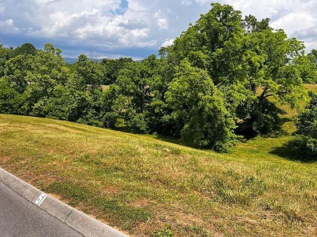6377 Coves Edge Trl, Russellville, TN 37860 - photo 4