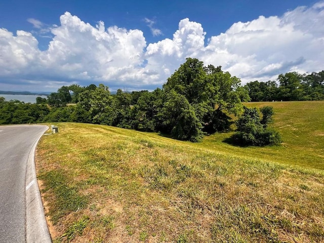 6377 Coves Edge Trl, Russellville, TN 37860 - photo 5