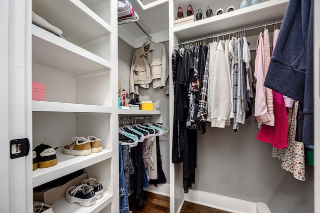 541 Piccadilly Dr, Murfreesboro, TN 37128 - walk in closet with wood finished floors