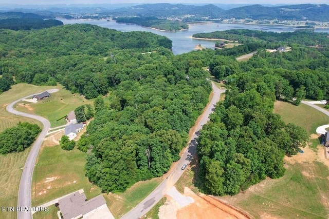 2004 Turners Landing Rd, Russellville, TN 37860