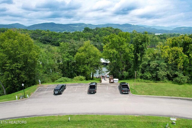 2054 Turners Landing Rd, Russellville, TN 37860