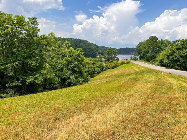 2069 Turners Landing Rd, Russellville, TN 37860 - photo 1