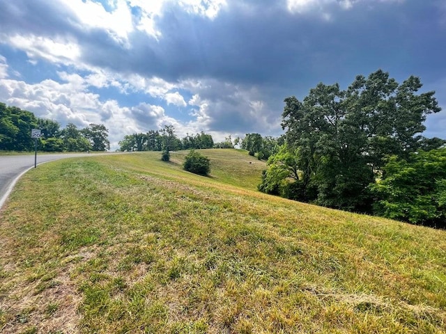 2069 Turners Landing Rd, Russellville, TN 37860 - photo 3