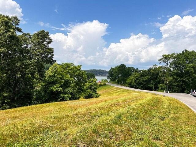 2069 Turners Landing Rd, Russellville, TN 37860 - photo 4