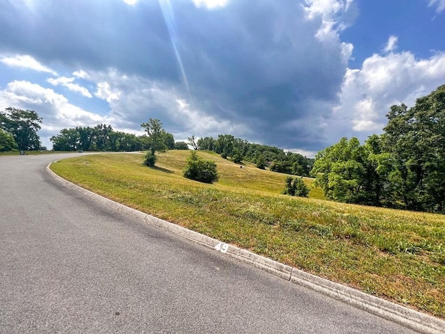 2069 Turners Landing Rd, Russellville, TN 37860 - photo 6