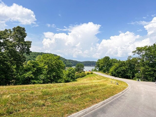 2069 Turners Landing Rd, Russellville, TN 37860 - photo 5
