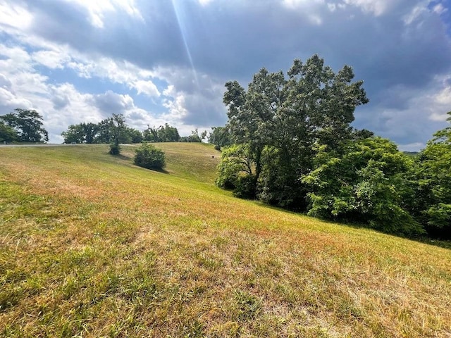 2069 Turners Landing Rd, Russellville, TN 37860 - photo 2