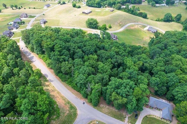 1955 Turners Landing Rd, Russellville, TN 37860 - photo 13