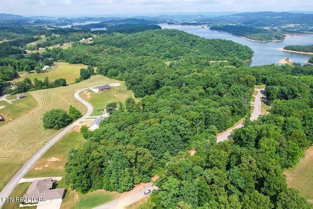 1955 Turners Landing Rd, Russellville, TN 37860 - photo 11
