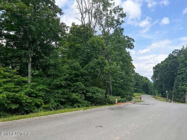 1955 Turners Landing Rd, Russellville, TN 37860 - photo 1