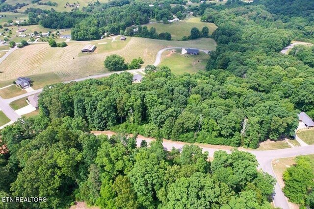 1955 Turners Landing Rd, Russellville, TN 37860 - photo 14