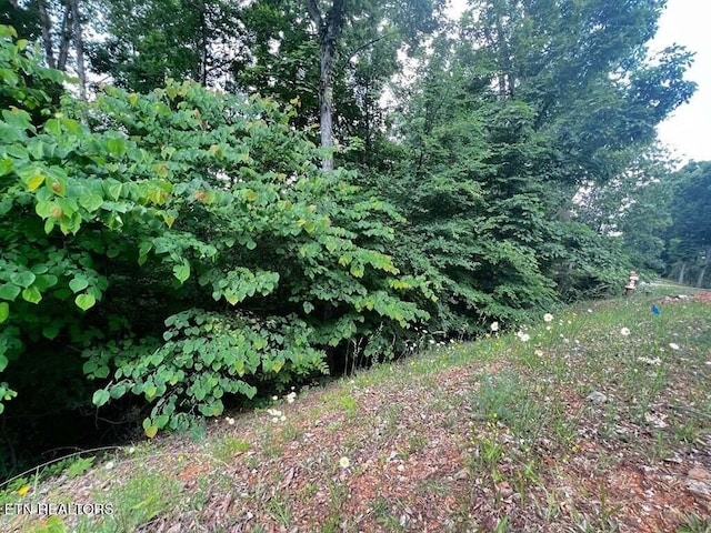 1955 Turners Landing Rd, Russellville, TN 37860 - photo 4