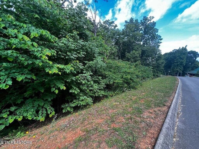 1955 Turners Landing Rd, Russellville, TN 37860 - photo 2