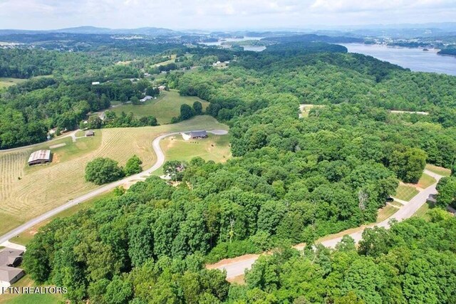 1955 Turners Landing Rd, Russellville, TN 37860 - photo 12