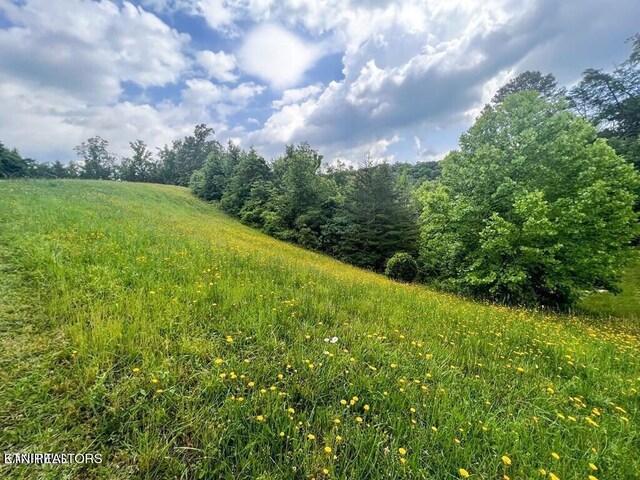 6213 Outlook Trl, Russellville, TN 37860 - photo 4