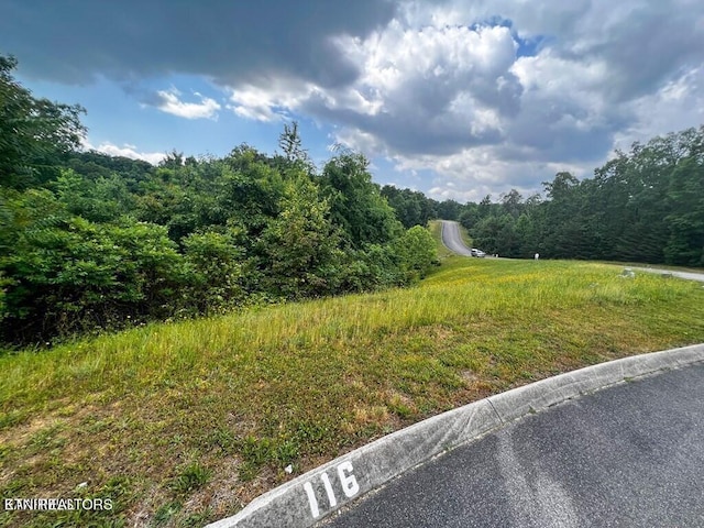 6213 Outlook Trl, Russellville, TN 37860 - photo 2