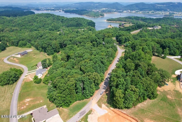 6213 Outlook Trl, Russellville, TN 37860 - photo 13