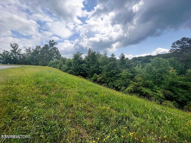 6219 Outlook Trl, Russellville, TN 37860 - photo 3