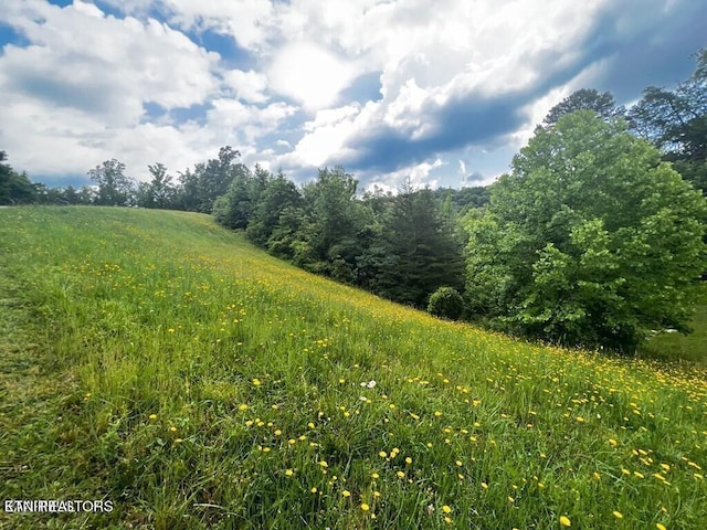6219 Outlook Trl, Russellville, TN 37860 - photo 2