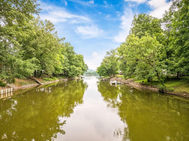 91 Creekside View Ln, Decaturville, TN 38329 - water view
