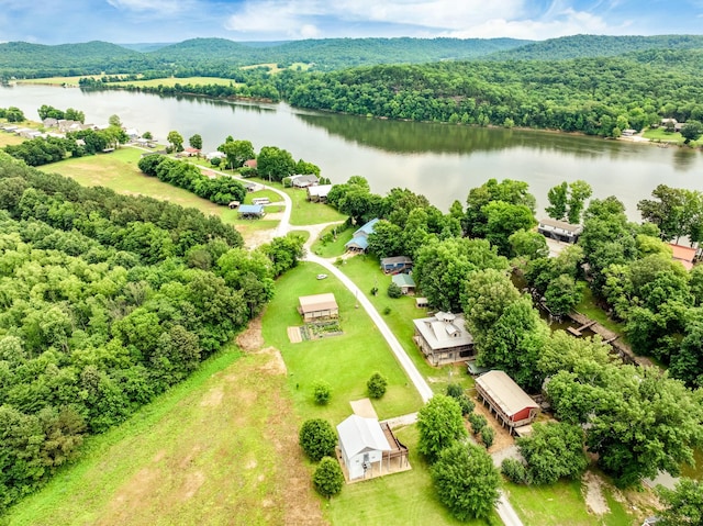 91 Creekside View Ln, Decaturville, TN 38329 - drone / aerial view of a large body of water and a heavily wooded area