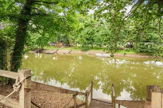 91 Creekside View Ln, Decaturville, TN 38329 - water view with a dock