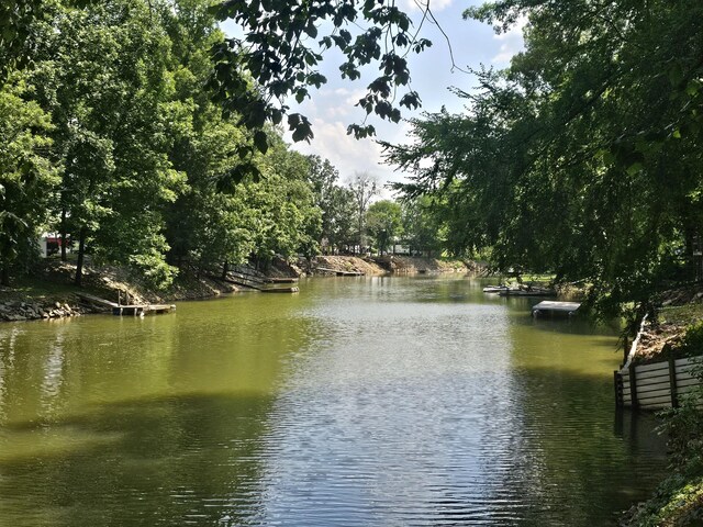 91 Creekside View Ln, Decaturville, TN 38329 - water view