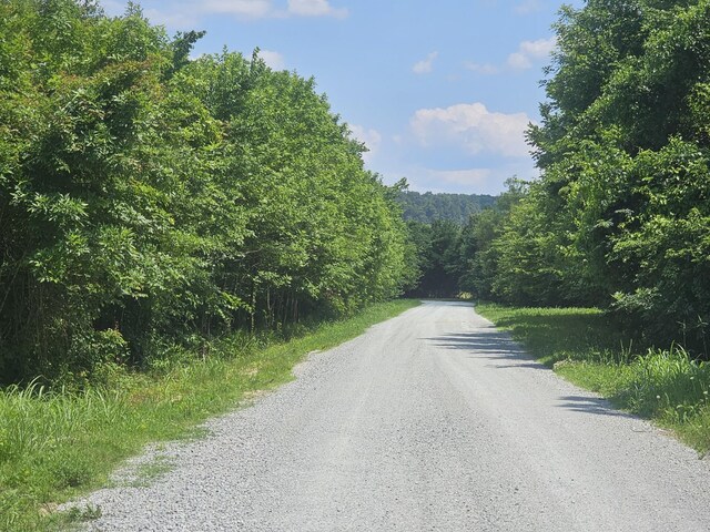 91 Creekside View Ln, Decaturville, TN 38329 - view of dirt / gravel road featuring a forest view
