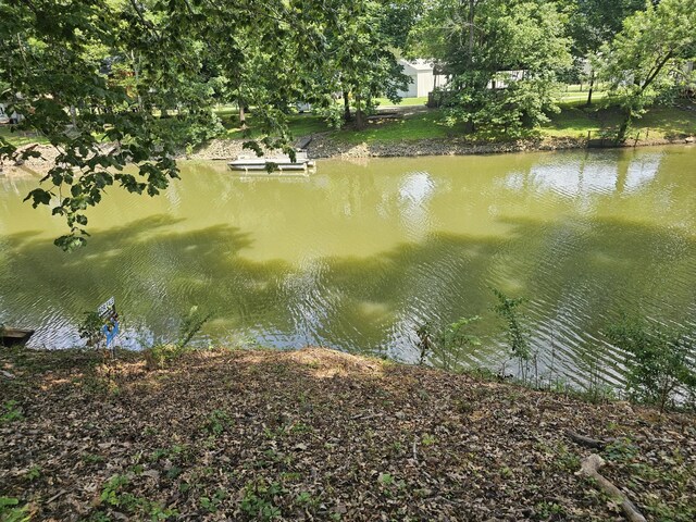 91 Creekside View Ln, Decaturville, TN 38329 - water view with a dock