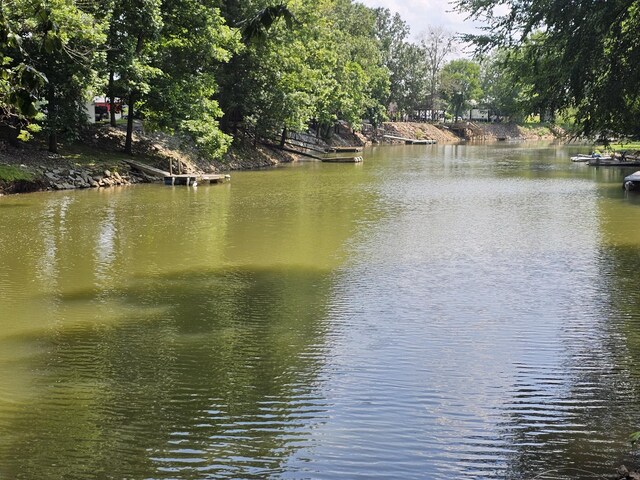91 Creekside View Ln, Decaturville, TN 38329 - water view