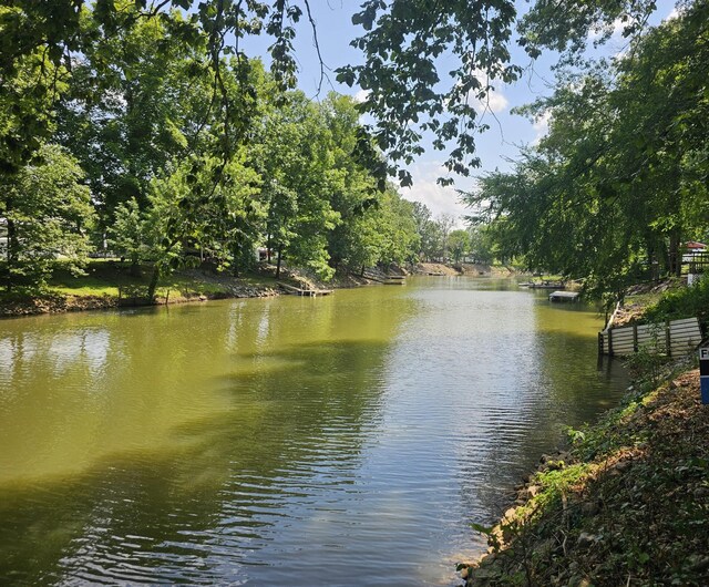 91 Creekside View Ln, Decaturville, TN 38329 - water view