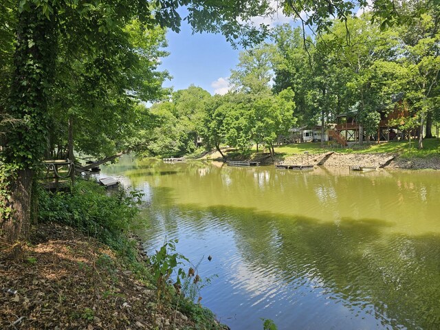 91 Creekside View Ln, Decaturville, TN 38329 - water view