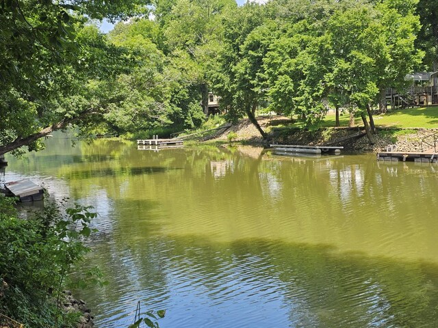 91 Creekside View Ln, Decaturville, TN 38329 - water view with a floating dock