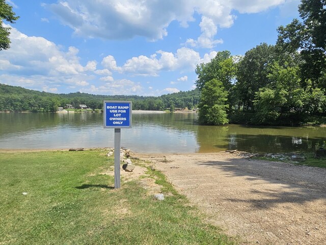 91 Creekside View Ln, Decaturville, TN 38329 - water view with a forest