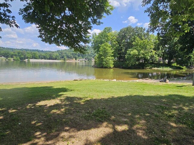 91 Creekside View Ln, Decaturville, TN 38329 - water view featuring a forest