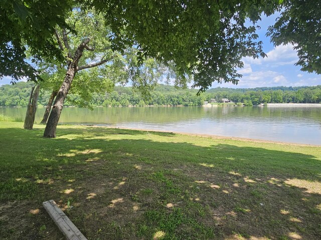 91 Creekside View Ln, Decaturville, TN 38329 - water view