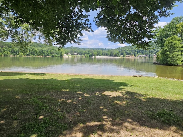 91 Creekside View Ln, Decaturville, TN 38329 - water view with a heavily wooded area