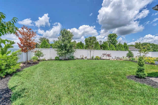 241 Bluegrass Rd, Manchester, TN 37355 - photo 6