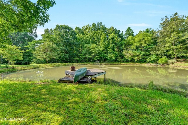 152 Spring Ln, Philadelphia, TN 37846 - photo 41