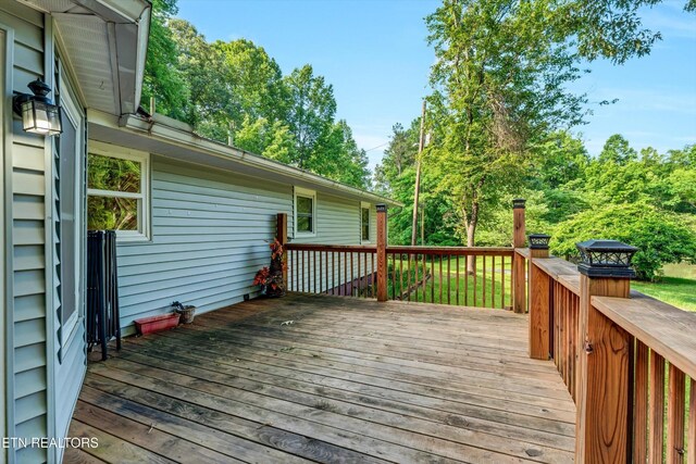 152 Spring Ln, Philadelphia, TN 37846 - photo 31