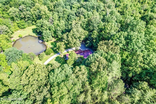 152 Spring Ln, Philadelphia, TN 37846 - photo 57