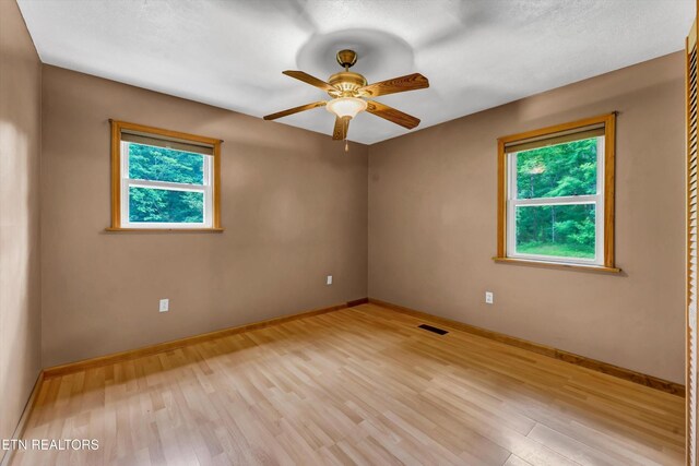 152 Spring Ln, Philadelphia, TN 37846 - photo 24