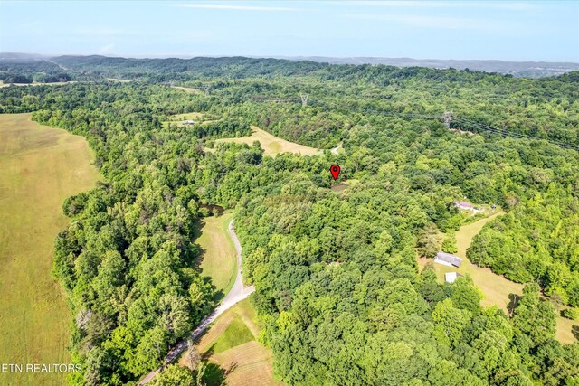 152 Spring Ln, Philadelphia, TN 37846 - photo 50
