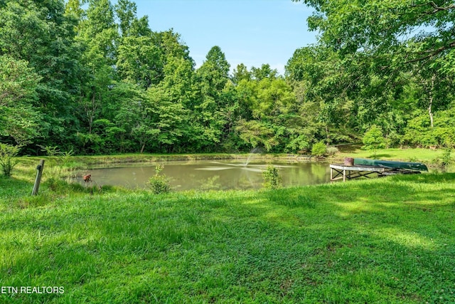 152 Spring Ln, Philadelphia, TN 37846 - photo 40