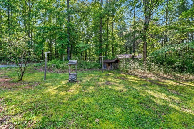 152 Spring Ln, Philadelphia, TN 37846 - photo 42