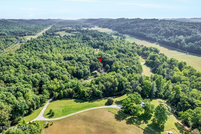 152 Spring Ln, Philadelphia, TN 37846 - photo 3