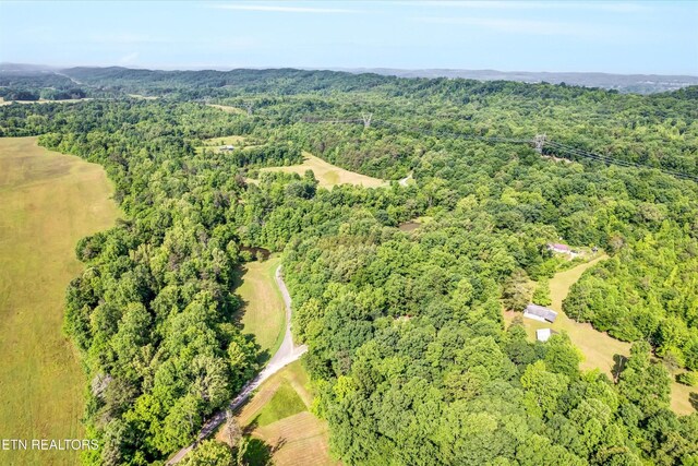 152 Spring Ln, Philadelphia, TN 37846 - photo 51