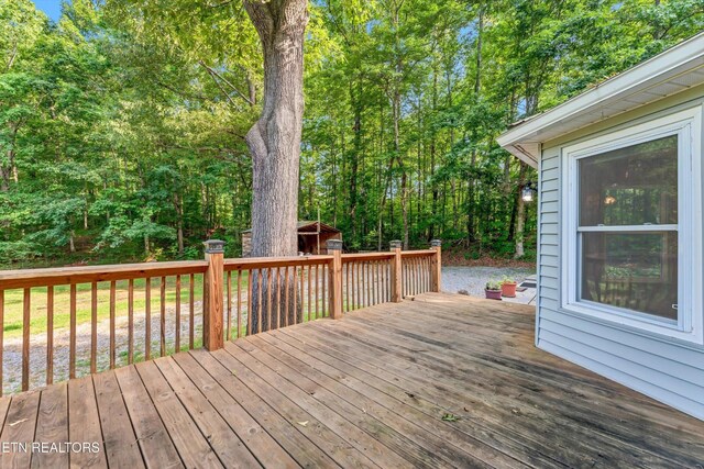152 Spring Ln, Philadelphia, TN 37846 - photo 32